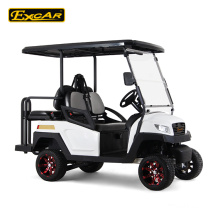 Tipo de combustible eléctrico y certificación CE Carro de golf 1-2 asientos 2015 Nuevo diseño de carrito de golf eléctrico barato